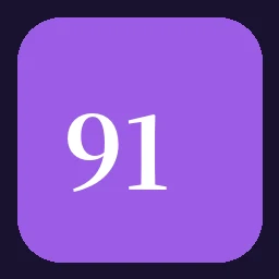 91网APP图标